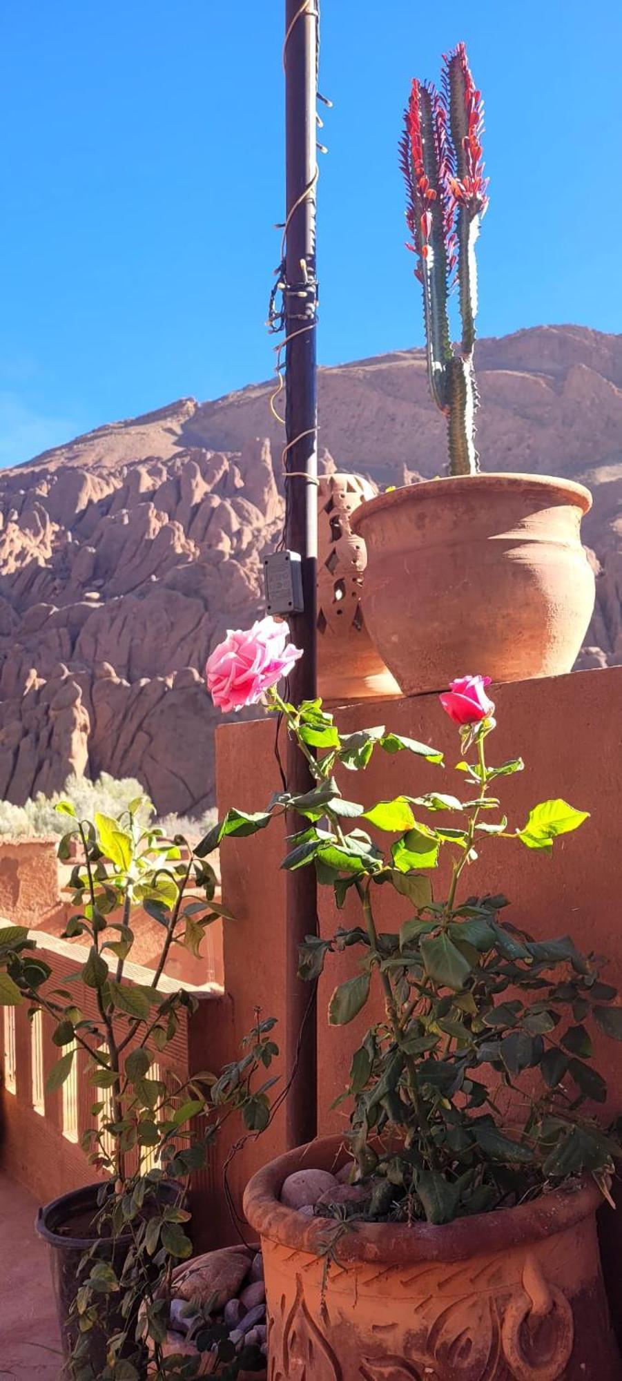 Tafsut Dades Guesthouse Stay With Locals Tamellalt  Extérieur photo