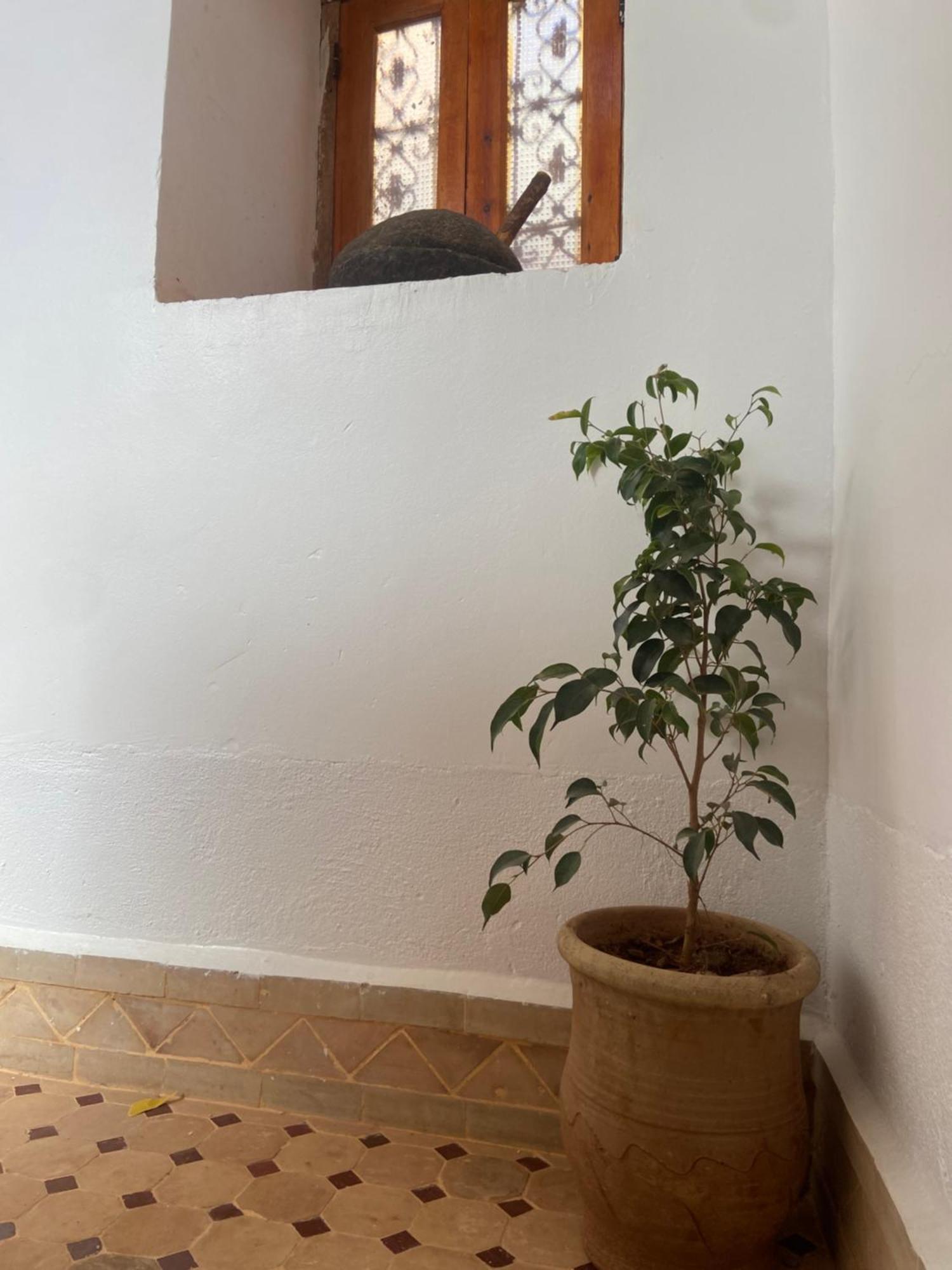 Tafsut Dades Guesthouse Stay With Locals Tamellalt  Extérieur photo